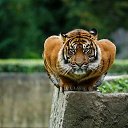 ���� ������, �����-���������, 55 ��� - ��������� 9 ������ 2014 � ������ ���� ����������