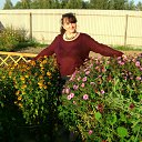 ���� �������, ������ - ��������� 25 ������� 2014 � ������ ������ ��������