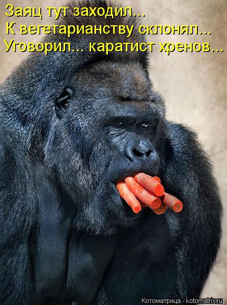  - 2  2014  12:21