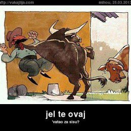 Pukoto, �����������, 36 ���