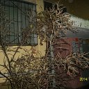 ���� ���� ���������, �������, 76 ��� - ��������� 11 ������� 2014 � ������ ����� ���������� ���������.�