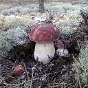 ���� �����, �����������, 58 ��� - ��������� 24 �������� 2014 � ������ ���� ����������