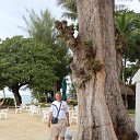 ���� ������, ���������, 73 ���� - ��������� 22 ������� 2014