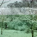 ���� ��������, ������, 54 ���� - ��������� 27 ������� 2014