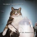 ���� �@���@, �������, 66 ��� - ��������� 24 ������� 2014