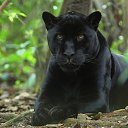 ���� ������, ��� - ��������� 28 ������ 2014 � ������ ������ ��������