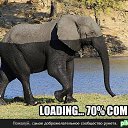 ���� �����, �������, 39 ��� - ��������� 29 ������� 2014 � ������ ������ ��������