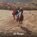 ���� ����������, ������, 37 ��� - ��������� 22 �������� 2014 � ������ ������ ��������
