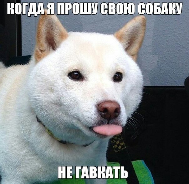    :D - 23  2014  17:56