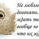 ���� ����, ������ - ��������� 23 ������� 2014 � ������ ���� ����������