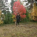 ���� ��������, ����������, 58 ��� - ��������� 20 �������� 2014 � ������ ���� ����������