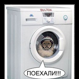 ������, ������, 55 ���