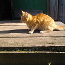 ���� �������, ���������� - ��������� 1 ������ 2014 � ������ ���� ����������