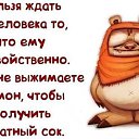 ���� �������, ������ - ��������� 2 �������� 2014 � ������ ��������