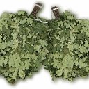  , -, 51  -  26  2014    