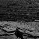 ���� ������, ������ - ��������� 5 �������� 2014 � ������ ��������.�