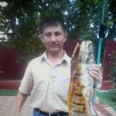 �������� 2014