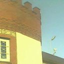 ���� �����, ������, 69 ��� - ��������� 31 ������� 2014 � ������ ���� ������