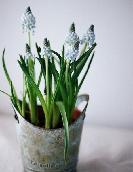 Не отвечайте злом на зло, иначе злу не будет конца. В ответ на обиду поцелуй врага своего, и ему ... - 2