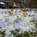 ������ ���� �� ������� ���� ����������