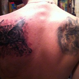 ���� �����, ������, 31 ��� - ��������� 25 ������ 2014