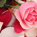 ���� &hearts; ������� &hearts;, ������ - ��������� 25 �������� 2014 � ������ ������ ��������