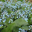 ���� Lana, ���������, 63 ���� - ��������� 16 ������ 2014 � ������ ���� ����������