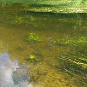 ���� ����, ������, 32 ���� - ��������� 29 ������� 2014 � ������ ������ ��������