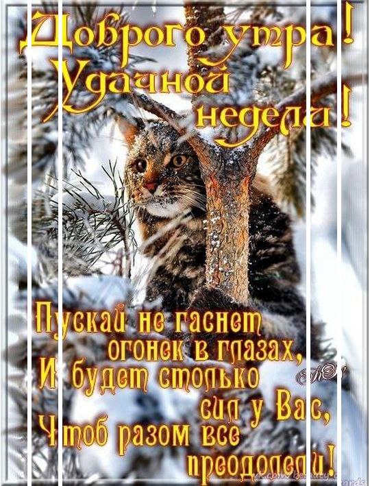 Желаем Вам хорошего дня и отличного настроения! Пусть у Вас всё намеченное сбудется! Желаем Вам ...