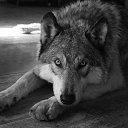 ���� Hell Girl, ���������, 31 ��� - ��������� 7 ������ 2014 � ������ ������ ��������