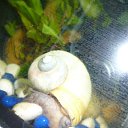  - .       -   ! --    !    .