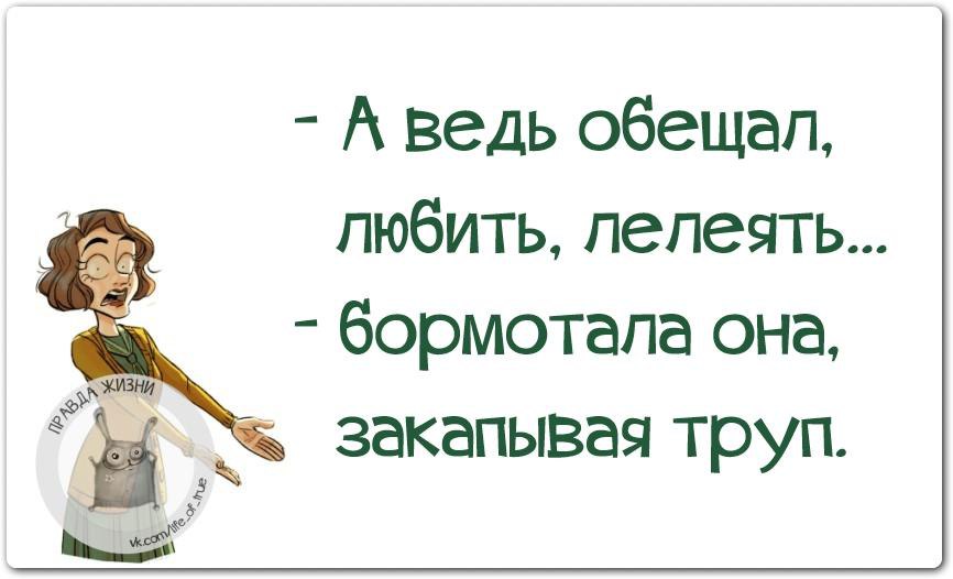 Лелеять. А ведь обещал холить любить и лелеять. Холить и лелеять с прикольными картинками. Лелеять картинка. Любить и лелеять.