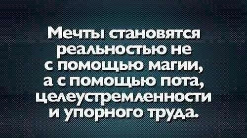 SportFeed - 29  2014  17:19