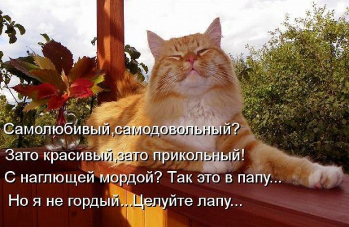 =