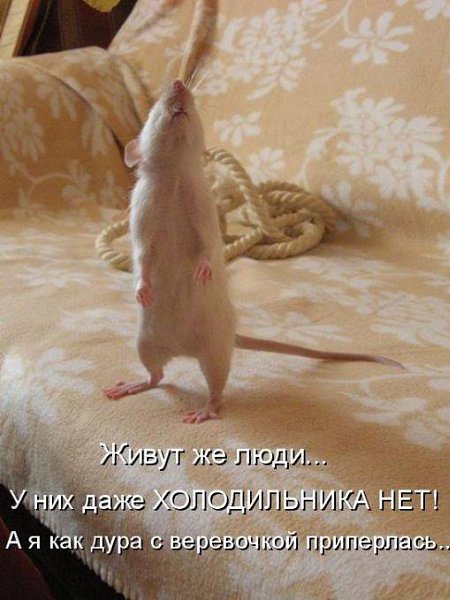 Подпишитесь, если понравилось!!! fotostrana.ru/public/237440/? А можно и отдать свой голос: ...