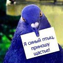 ���� A-l, ������ - ��������� 21 ������ 2014