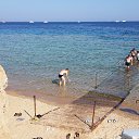 ������.��� ������(�����) ����� ������� �����. �� ������� ���� ����������