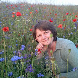 ����, ����, 48 ���