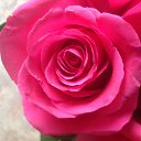 ���� �������, ������ - ��������� 22 ������ 2014 � ������ �����ۻ