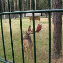 ���� ����, ������������, 71 ��� - ��������� 27 �������� 2014 � ������ ���� ����������