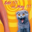 ���� Andrej, �������, 77 ��� - ��������� 30 ������ 2014 � ������ ���� ����������