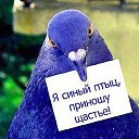 ���� �������, ������ - ��������� 10 �������� 2014 � ������ ������ ��������