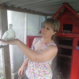 ���� ��������, ����������, 57 ��� - ��������� 14 ������ 2014