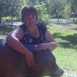 ���� ����, ��������, 49 ��� - ��������� 7 �������� 2014