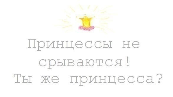    |   - 12  2014  15:00