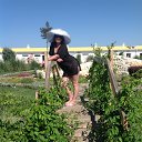 ���� ������, �����������, 48 ��� - ��������� 25 ������ 2014 � ������ ���� ����������