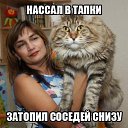 ���� Jack, ��������, 29 ��� - ��������� 29 ������� 2014 � ������ ���� ����������