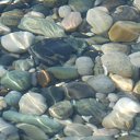 ���� �������, ������ - ��������� 1 ������� 2014 � ������ ���� ����������