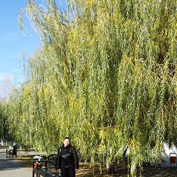 ����, ��������, 48 ���