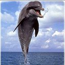 ���� Dt, ����, 50 ��� - ��������� 26 ������ 2014 � ������ ���� ����������